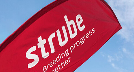 Strube flag with claim "Breeding progress together"