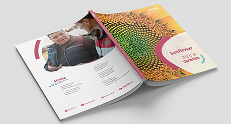 Strube multimedia:  Brochures, flyers and catalogues