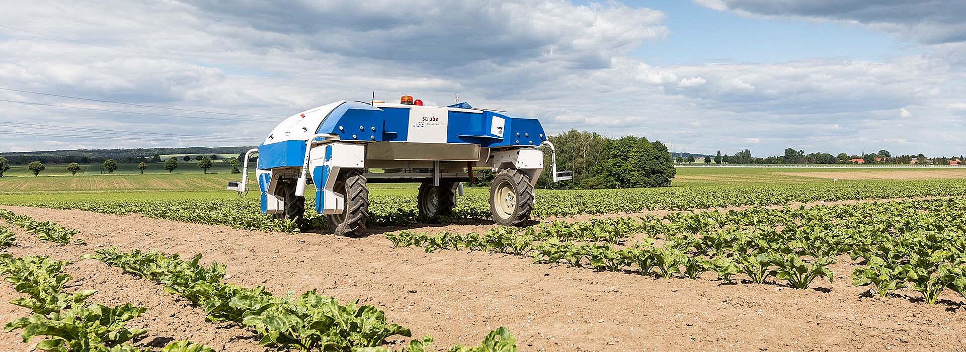 Der PhenoBob bei der Arbeit auf dem Feld Der PhenoBob bei der Arbeit auf dem Feld