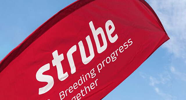 Bowflag mit Strube Logo