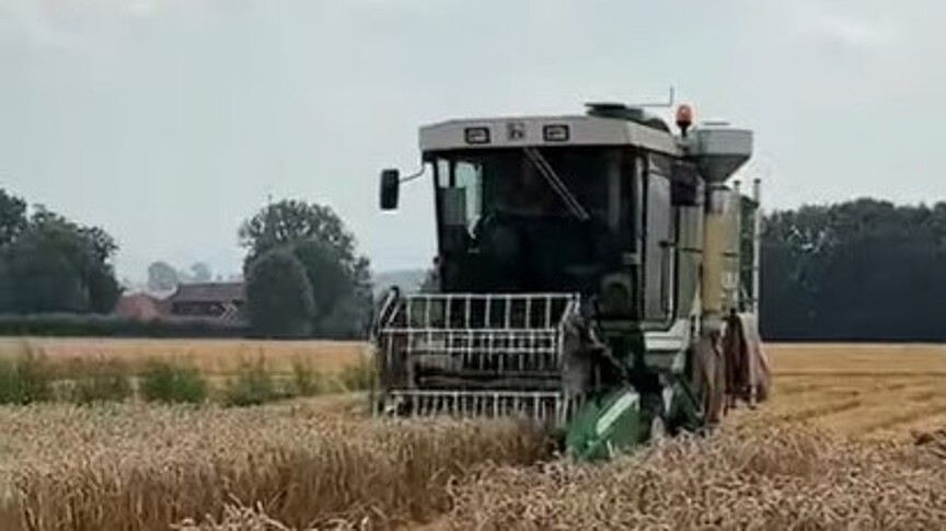 Harvester for wheat breeding nursery