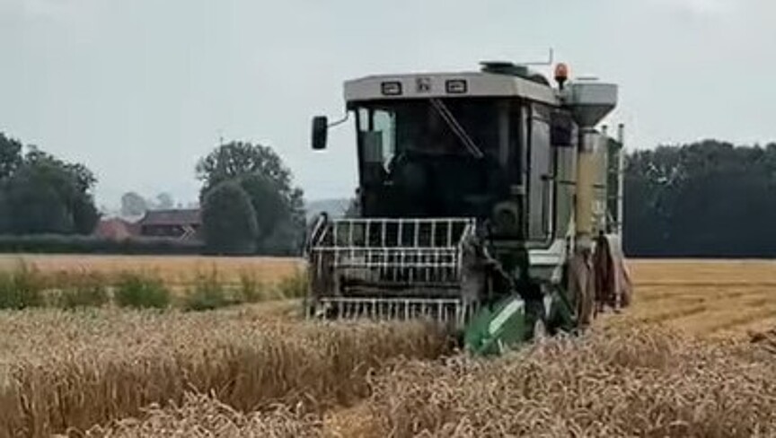 Harvester for wheat breeding nursery