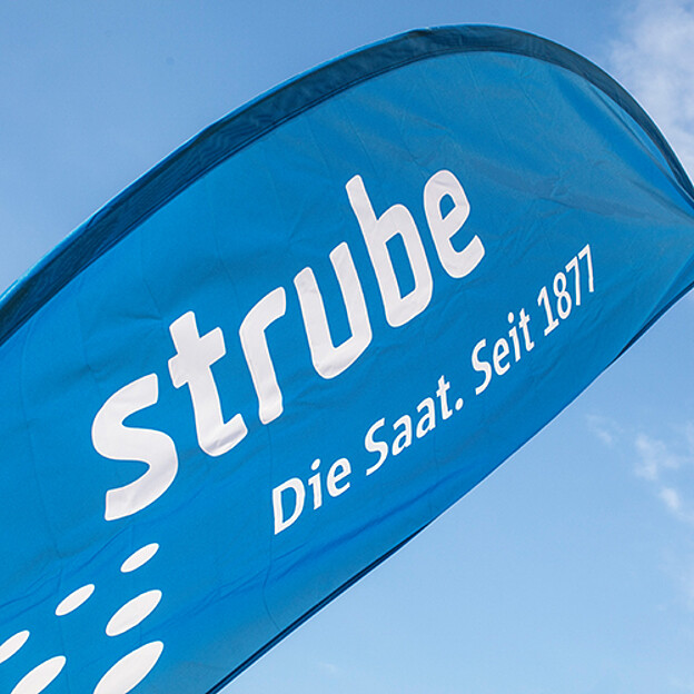  Strubes VisionBlue: tourné vers l'avenir, économique et durable