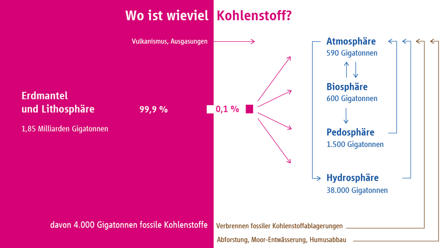 Kohlenstoff global