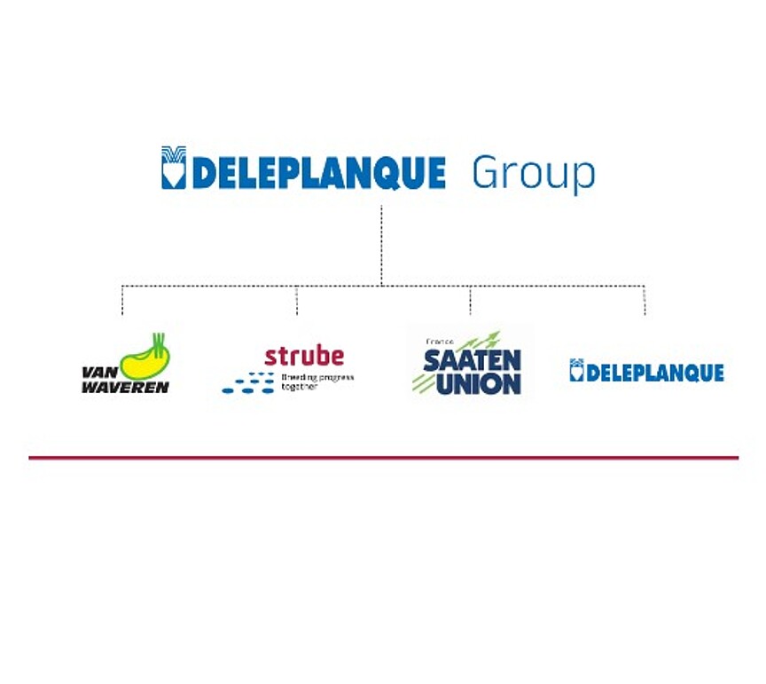 Übersicht Deleplanque Group