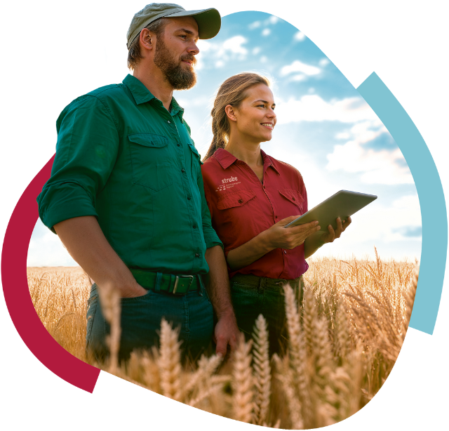 Strube employees in the wheat field