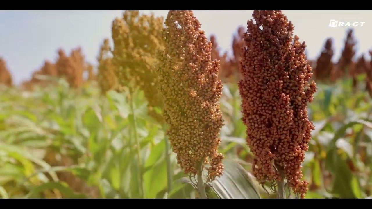 RAGT UK - CORPORATE VIDEO