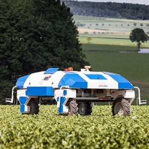 Strube PhenoBob Strube PhenoBob