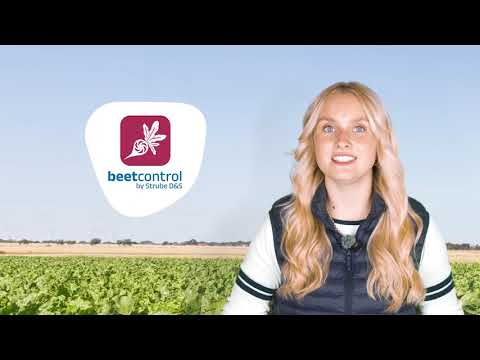 BeetControl – How the App Reliably Detects Diseases in Sugar Beets