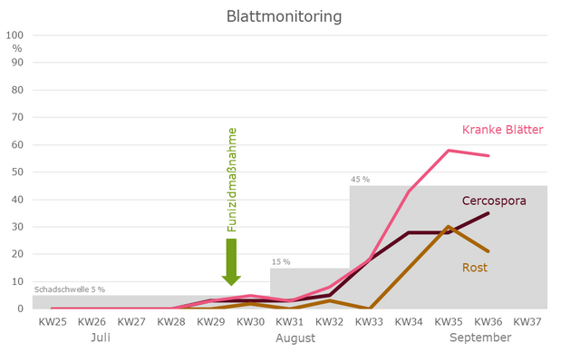 Blattmonitoring Zuckerertrag