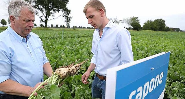 Strube Saatzucht - Sortenführung Mitteldeutschland Strube Saatzucht - Sortenführung Mitteldeutschland