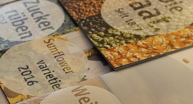 Strube seeds brochures and flyer