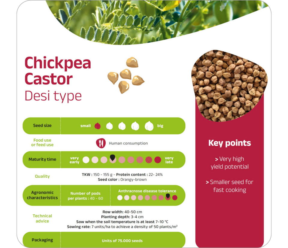 Chickpea - Castor