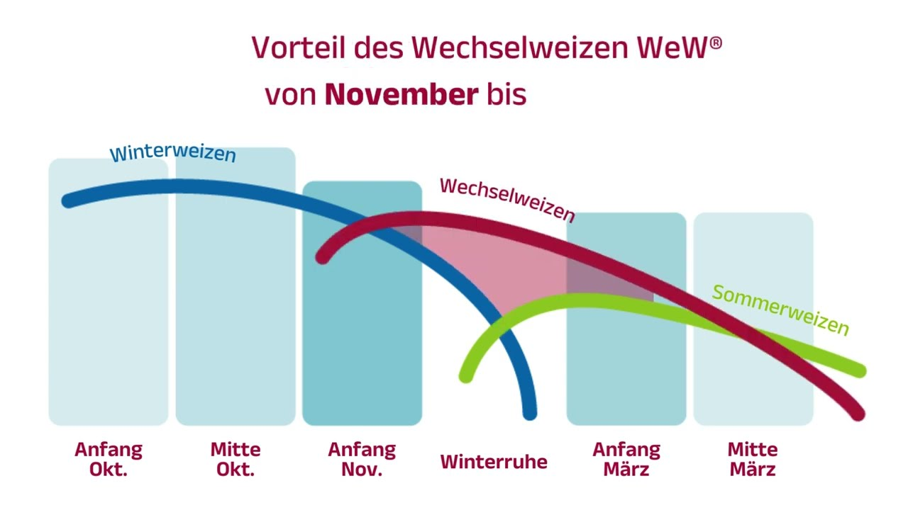 Wechsel -Weizen WeW® - maximale Flexibilität