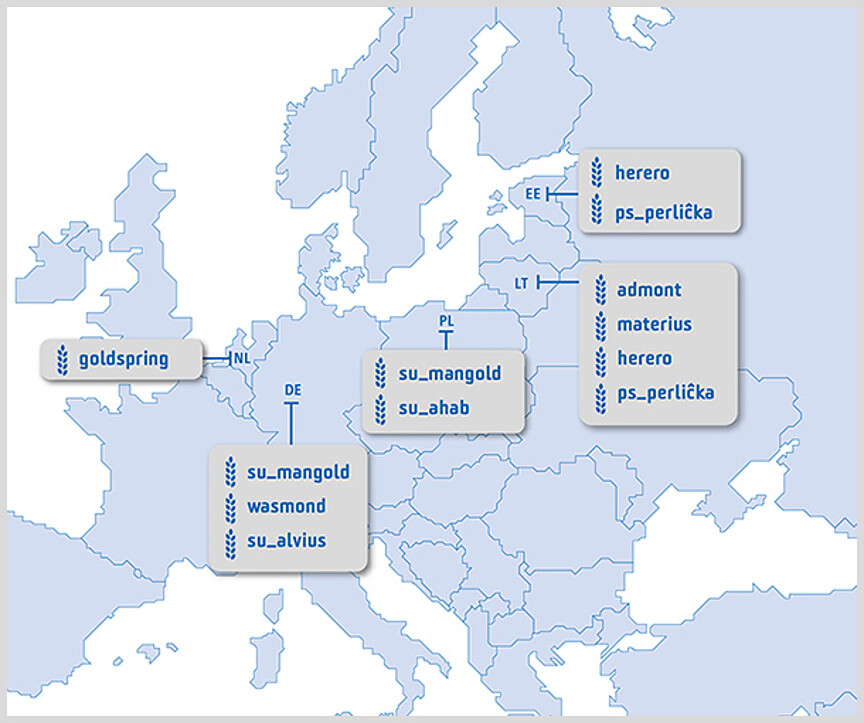 Strube Saatzucht: Variety registrations Wheat international