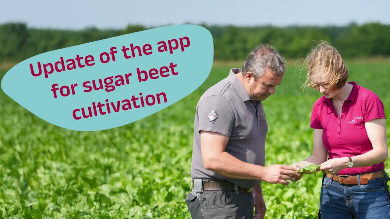 BeetControl – The New Strube App for Sugar Beet Growers