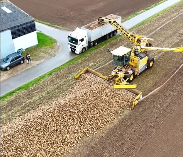 Rübenmaus belädt LKW mit ertragreichen Zuckerrüben