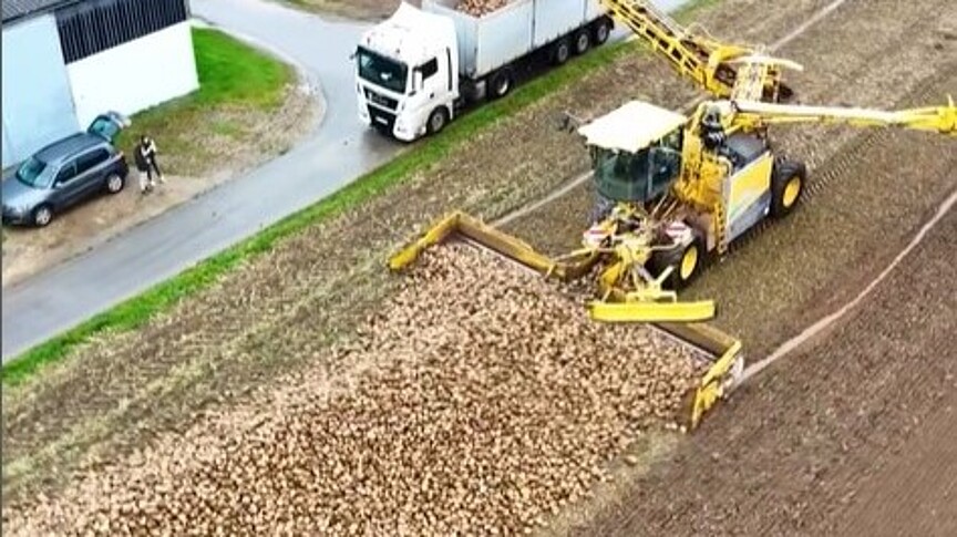 Rübenmaus belädt LKW mit ertragreichen Zuckerrüben