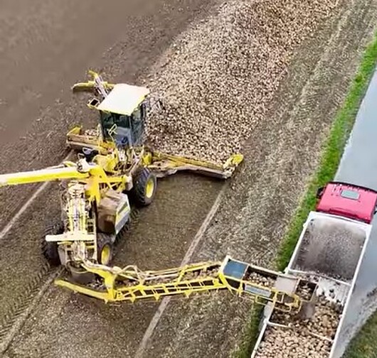 Sugar beet harvester