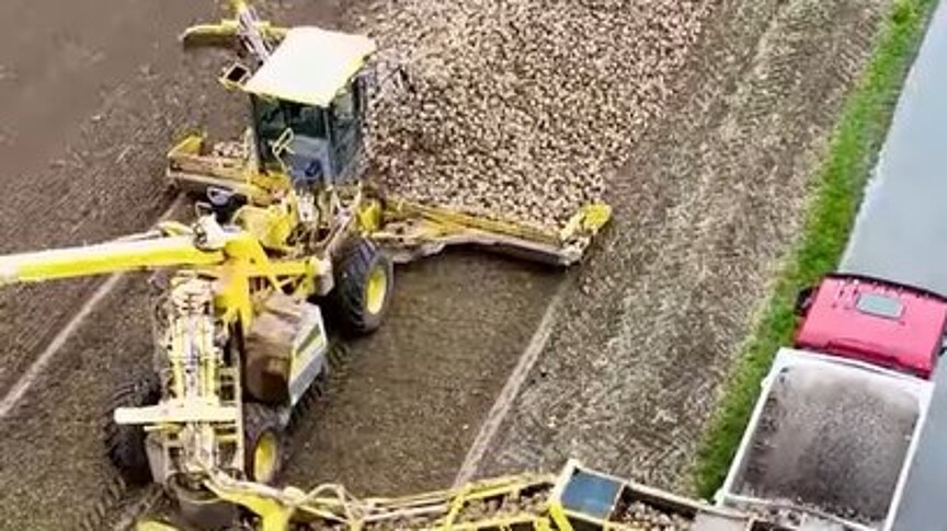 Sugar beet harvester