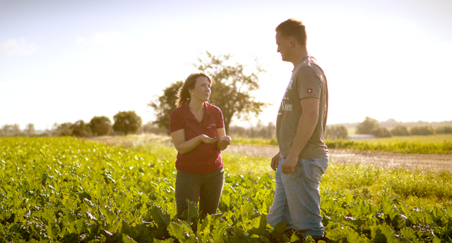 Farmer with breeder in the sugar beet field Farmer with breeder in the sugar beet field