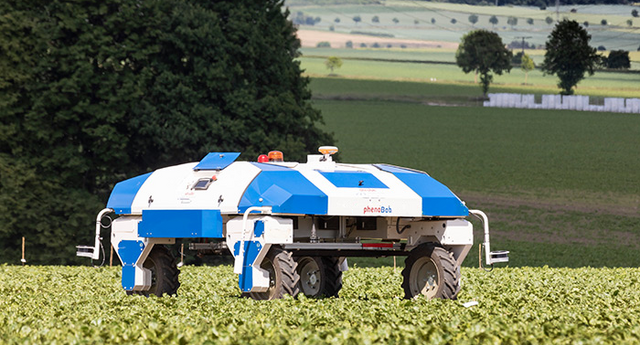 PhenoBob analyisiert Jungpflanzen auf dem Feld