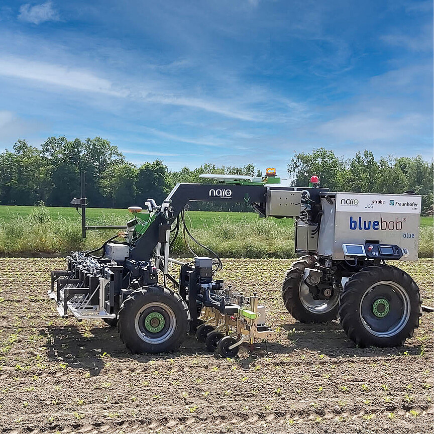 Sechsreihiges Unkrauthacken mit autonom navigierendem Feldroboter 