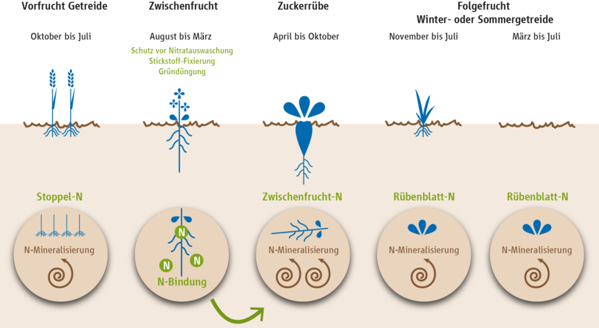 Rote Gebiete Stickstoffreduktion