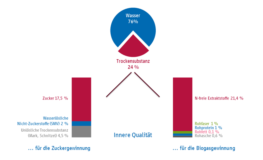 Grafik: Zusammensetzung der Zuckerrüben und die innere Qualität für die Zucker- und für die Biogasgewinnung, Quelle: Christa Hoffmann, IfZ-Göttingen 2011