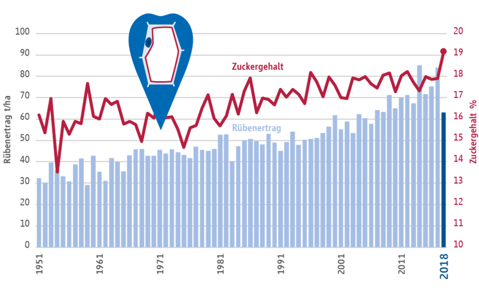 Zuckergehalt und Rübenertrag in Deutschland 2018