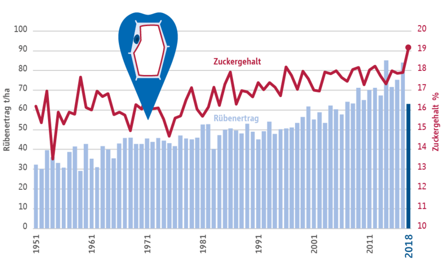 Zuckergehalt und Rübenertrag in Deutschland 2018